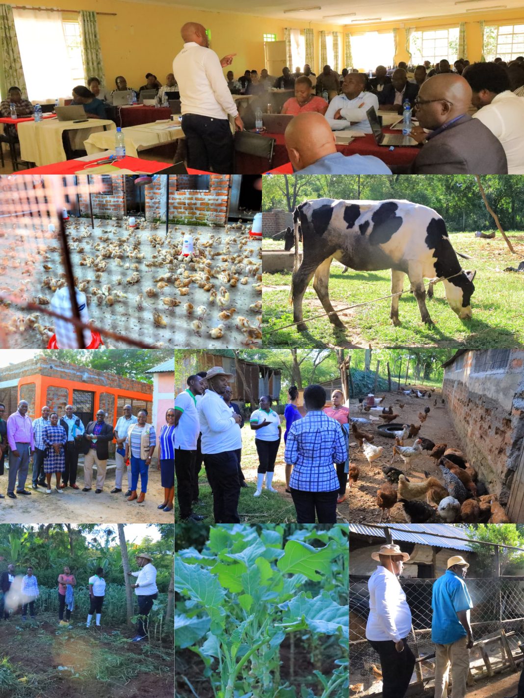 Kitui Central Agricultural Officers Equipped with Smart Farming and Data Tools Kitui Central Agricultural Officers Equipped with Smart Farming and Data Tools