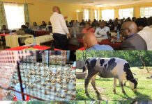Kitui Central Agricultural Officers Equipped with Smart Farming and Data Tools
