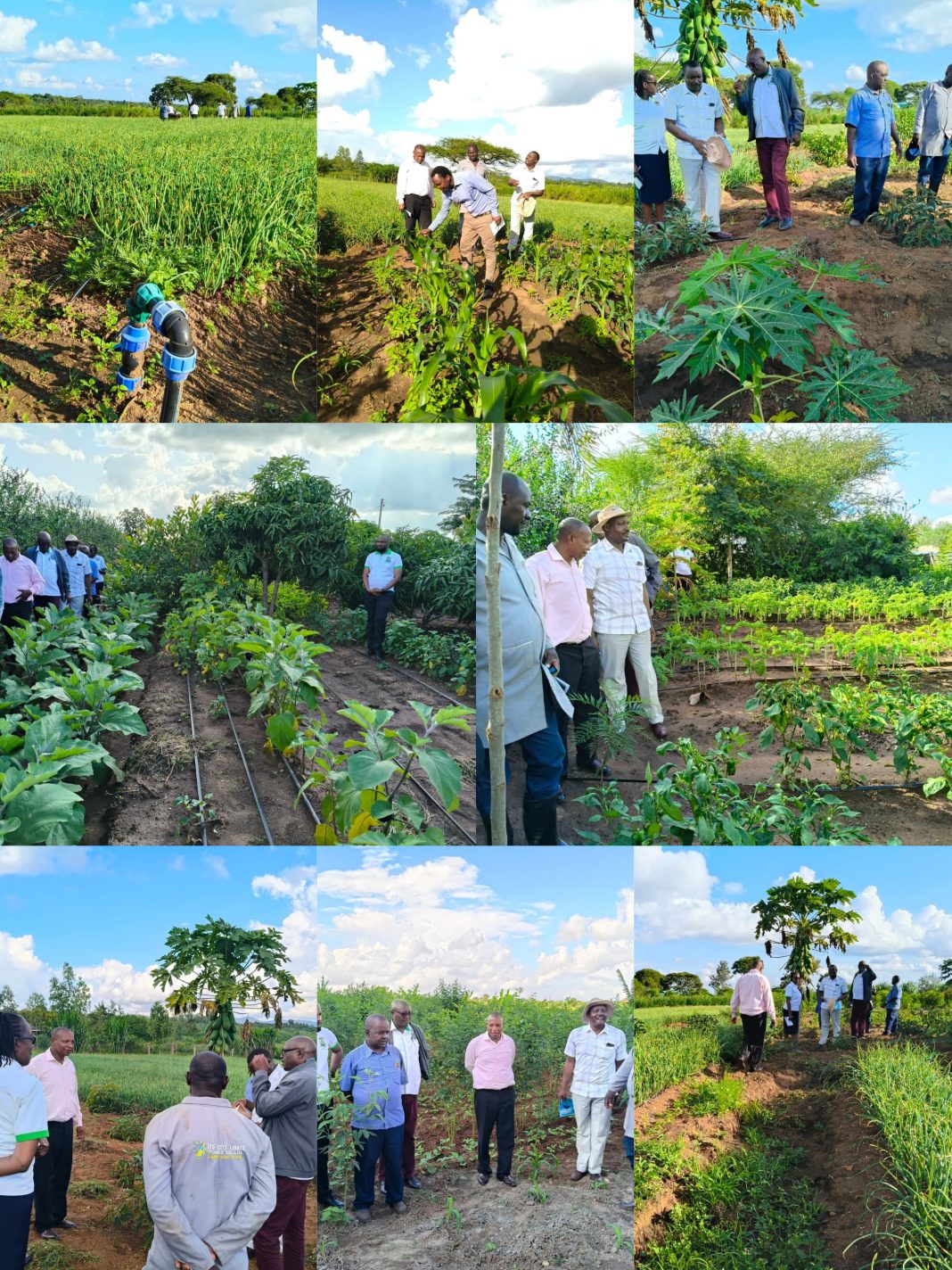 Agriculture Officers Visit Model Farm in Katheka to Promote Smart Farming Practices Agriculture Officers Visit Model Farm in Katheka to Promote Smart Farming Practices