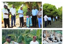 Ministry of Agriculture and Livestock Officers Visit Farmers in Kitui East