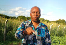 Kalonzo’s Kitui Wiper senatorial aspirant Dr. Mbaya being targeted by UDA Mole Kinengo.